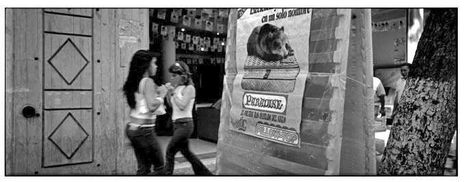 De la serie: A lo...
