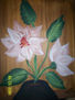 Gardenias
