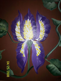 Iris