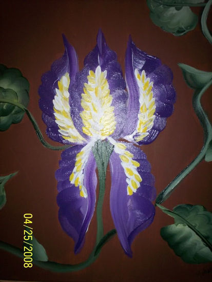 Iris 