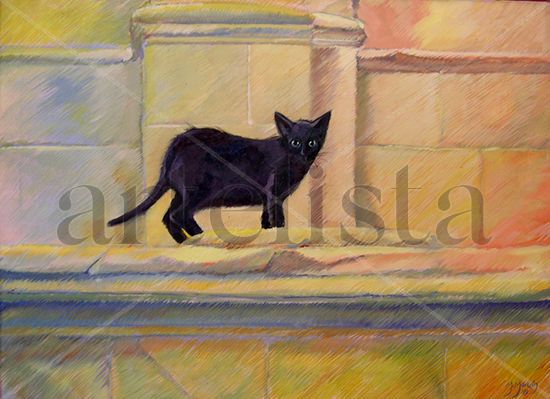 Gato Solitario