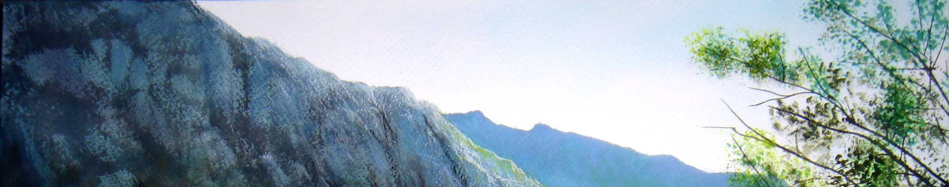 Imagen de portada