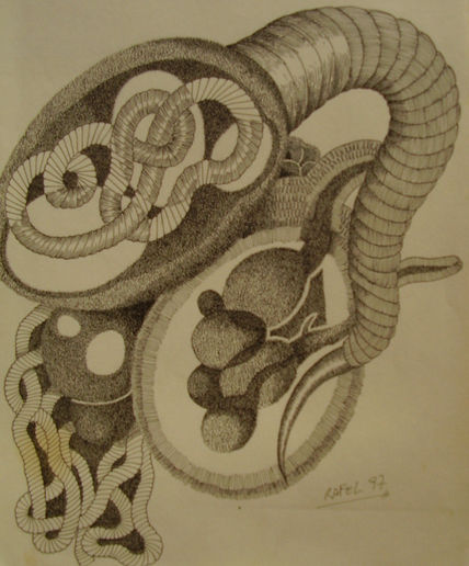 Espermatozoide