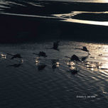 PAISAJES thumbnail 2
