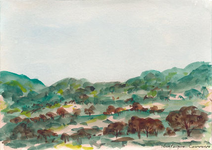 Montes verdes y...