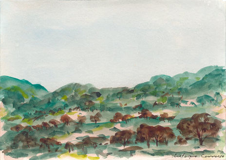 Montes verdes y...