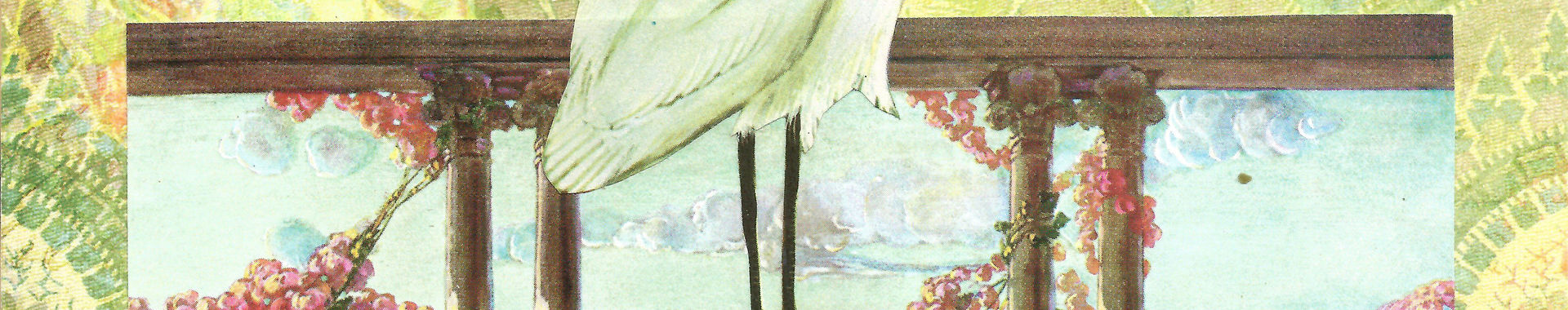 Imagen de portada