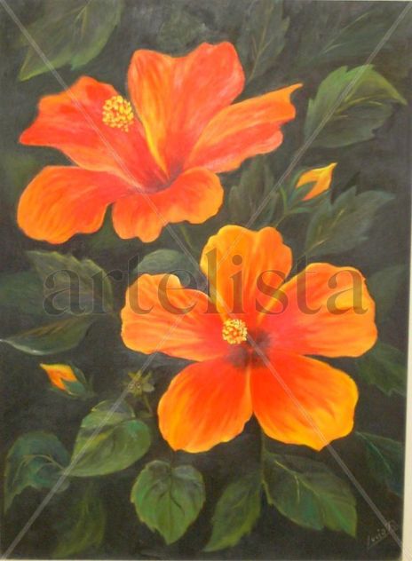 Hibiscu