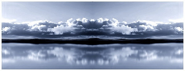 reflejos de la vida