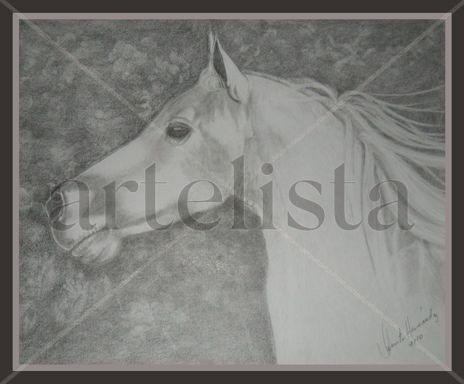 Caballo I