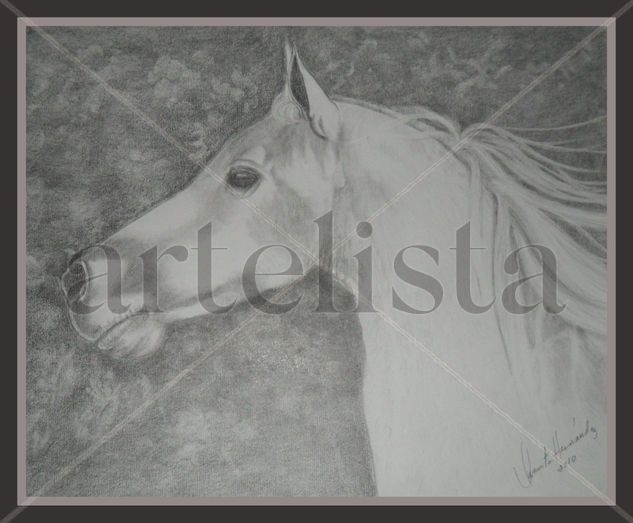 Caballo I Charcoal