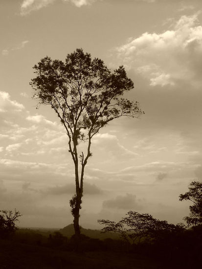 Sera que un dia sere igual... Viajes Blanco y Negro (Digital)