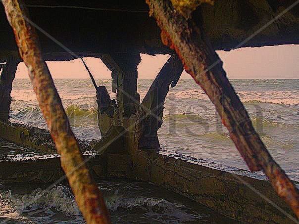 muelle1
