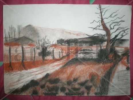 Campillo