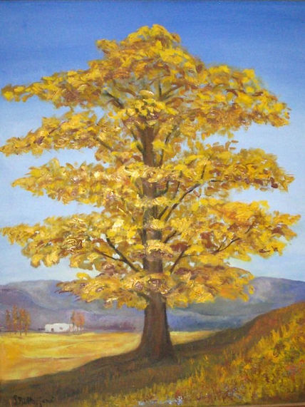 Soledad