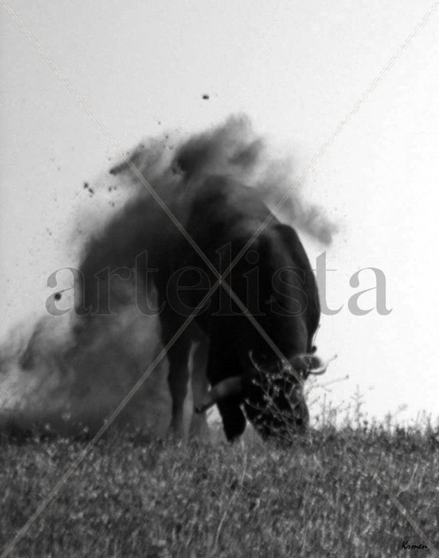 FOTO Nº 84