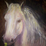 caballos thumbnail 1