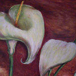 flores thumbnail 1