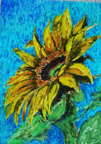 Girasol