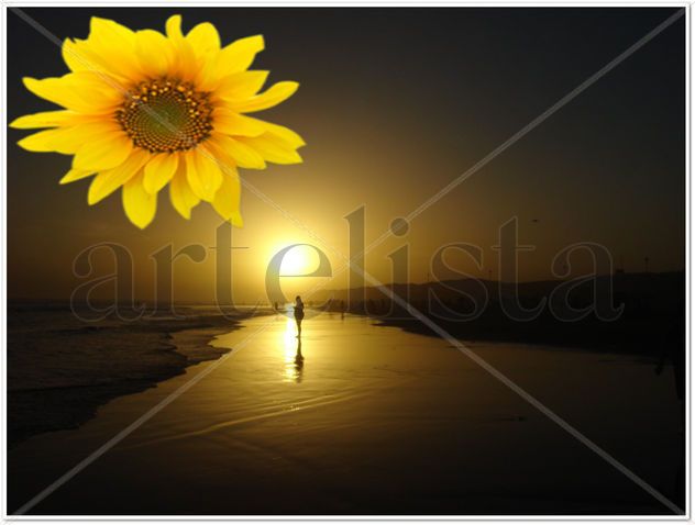 SOL Y MARGARITA