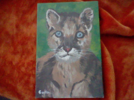 lince de Gara