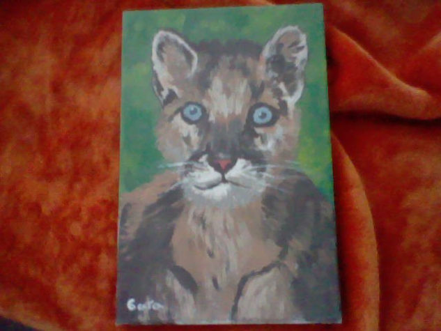 lince de Gara 