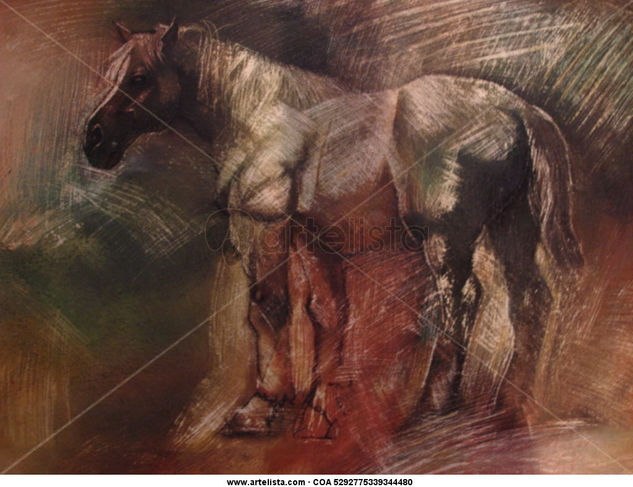 Caballo en la penumbra Oil Canvas Animals