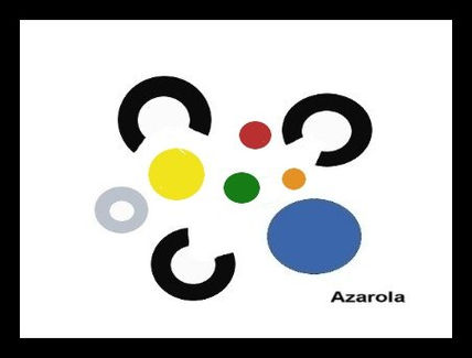 Aa 21