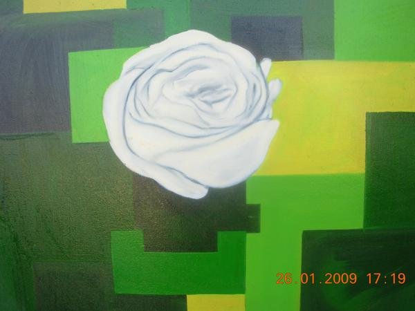 rosa blanca