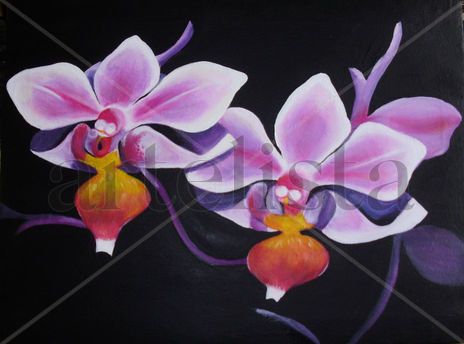 orquídeas I