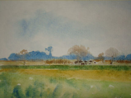 Molino