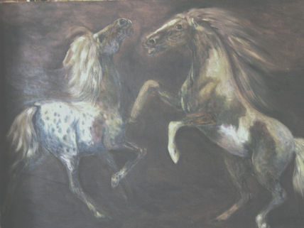 Caballos