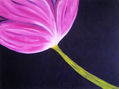 flor