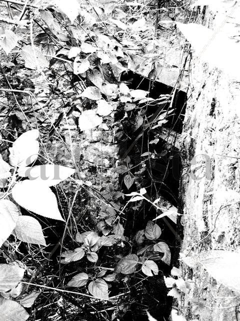 CUEVA DE PUENTE