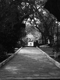 Casamiento a la vista