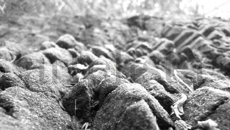 Piedras ii