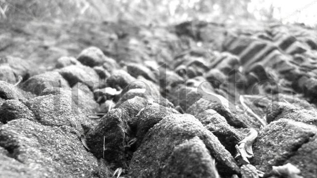 PIEDRAS II