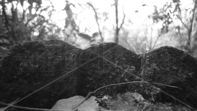 PIEDRAS VARIAS