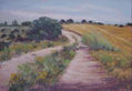 Paisaje del natural nº2