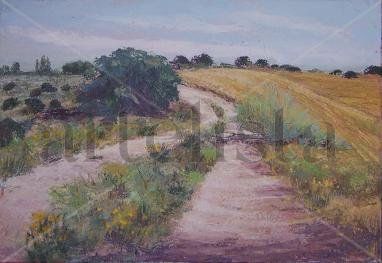 Paisaje del natural nº2