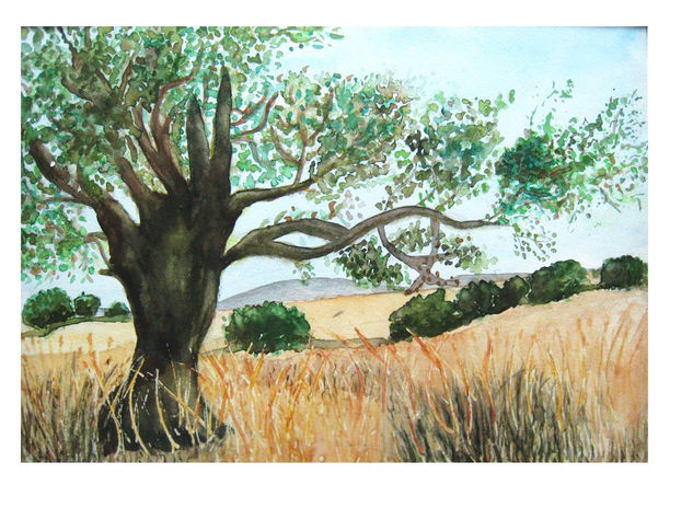 concepcion fermin - olivo en trigal 36x26 