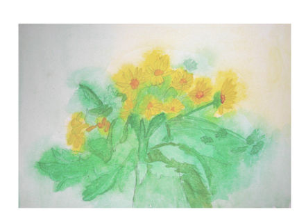 magda paz - FLORES