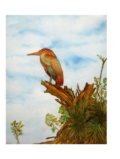 griselda herrera - martin pescador 26x34 