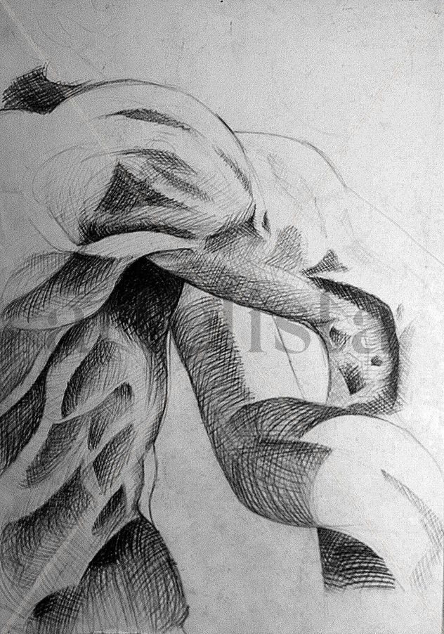 o braço da lei (laocoonte)