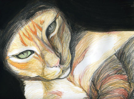 Miss Kitty