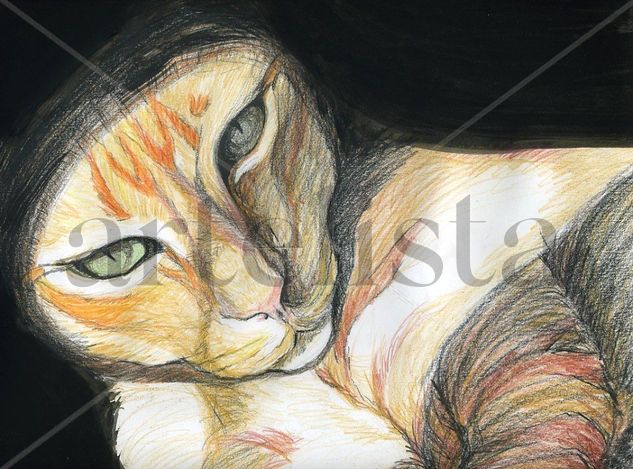 Miss Kitty Pencil (coloured) Paper Animals