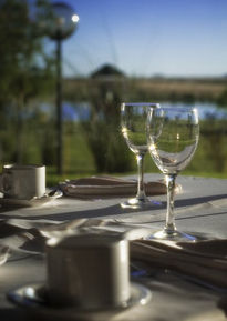 Vasos en el campo