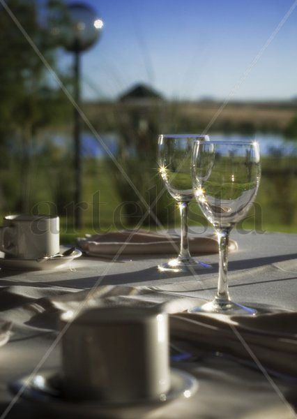 Vasos en el campo