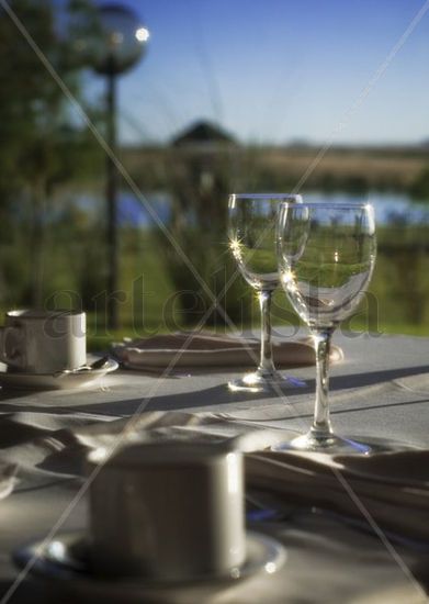 Vasos en el campo 