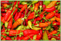 Chiles 1